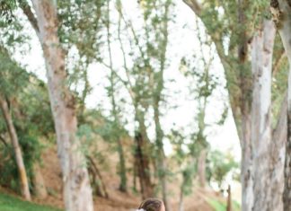 Beautiful Brand Wedding Dresses : Illusion neckline wedding dress: Photography: Aga Jones – www.agajonesphoto……