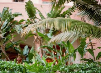 Beautiful Brand Wedding Dresses : Watters wedding dress | Photography: Aria Studios…