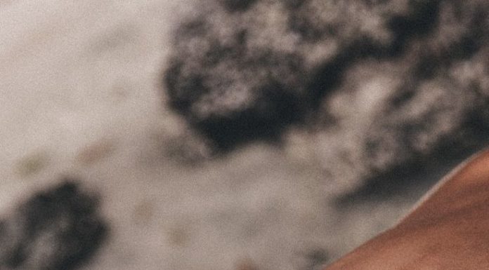 Best Swimsuits 2017/2018 : Knit Swimsuit