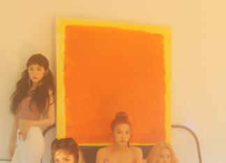 Fashion Editorial : Photo