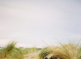 Fashion Editorial : santanabellas:
quantum placement project ft. james…