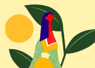 Fashion : multicolor art