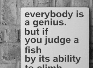 Fashion Quotes : HAHA But true :)…