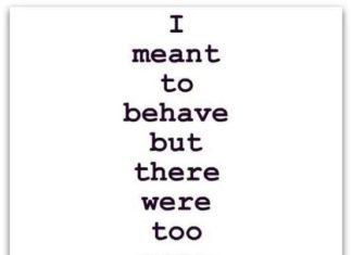 Fashion Quotes : I meant to behave | Funny Dirty Adult Jokes, Memes & Pictures