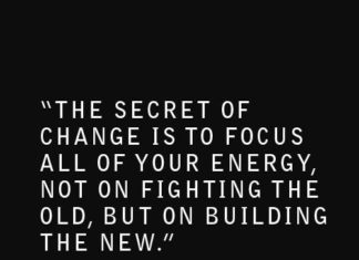Fashion Quotes : The secret of change is to focus all of your energy not on fighting the old, but…