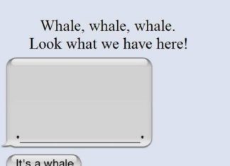 Fashion Quotes : Whales whales whales!