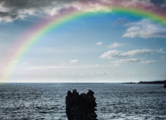 Fashion : rainbow