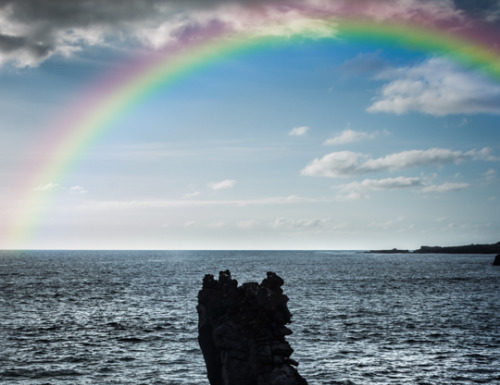 Fashion : rainbow