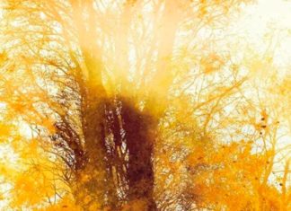 Fashion : theartofanimation:
Ibuki Satsuki
-…