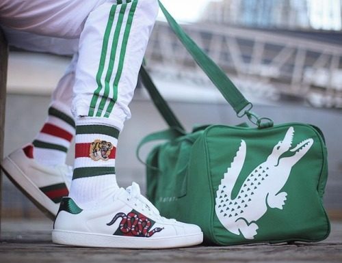 Gucci : guccistripes