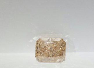 Loose Diamond : 30 carat FANCYS Color Type A Intense yellowish Pink Diamond