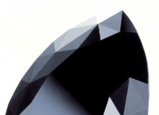 Loose Diamond : Amsterdam Diamond 33.7 Ct black diamond…