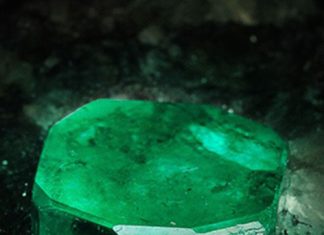 Loose Diamond : regilla