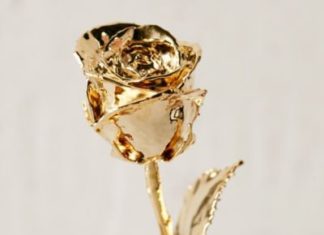 Luxury Jewelry 2017/2018 : 24K Gold Dipped Rose – Urban Outfitters