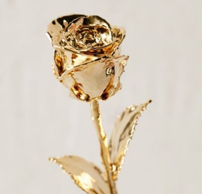 Luxury Jewelry 2017/2018 : 24K Gold Dipped Rose – Urban Outfitters