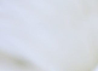 Luxury Jewelry 2017/2018 : Parade Designs Charities .40ctw Diamond Scalloped Eternity Band BD0779-D:ET | Os…