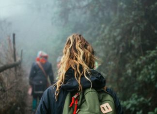 Trendy Hair Style : Werewolves & Lollipops