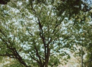 Trendy Wedding Dresses : Fun & Stylish Wedding by Pat Robinson Photography…