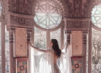 Trendy Wedding Dresses : Rayne and Stardust cape back Galia Lahav Wedding Dress Collection 2018…