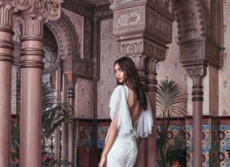 Trendy Wedding Dresses : Velvet back Galia Lahav Wedding Dress Collection 2018…