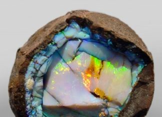 Fashion : lonequixote:
Rock Collection
Opal
(via @lonequixote)