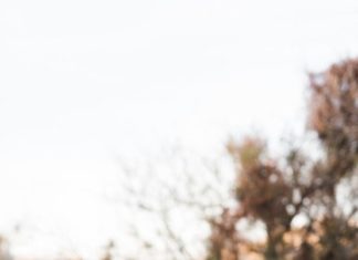 Trendy Wedding Dresses : Las Vegas Vow Renewal Floyd Lamb Park…