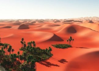 Street Style : Street Style Platform – Fashion Inspiration