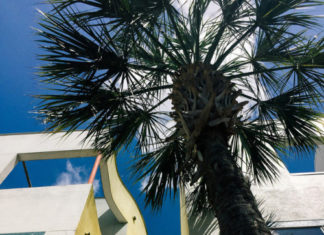 Street Style : Street Style Platform – Fashion Inspiration