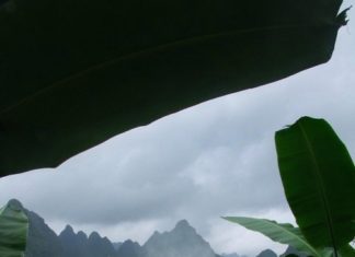 Street Style : Street Style Platform – Fashion Inspiration