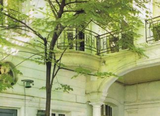 Diamond Rings : ……