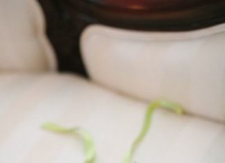 Wedding Hair With Flowers & jewels : flower crown…