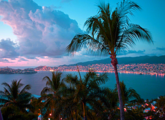 Fashion : @fashiondailymag: the palms and the lights