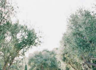 Beautiful Brand Wedding Dresses : Elegant and sexy wedding dress: Photography: Sally Pinera – sallypinera.com/…