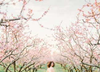 Beautiful Brand Wedding Dresses : Gorgeous wedding gown in a meadow of cherry blossoms: Wedding Dress: Mrs. Bridal…