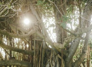 Beautiful Brand Wedding Dresses : Photography: Melia Lucida – melialucida.com Read More on SMP: www.stylemepret…