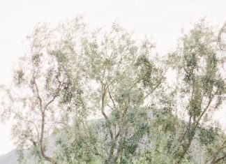 Beautiful Brand Wedding Dresses : Stunning wedding dress: Floral Design: The Flower Studio – www.stylemepretty… …