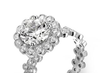 Diamond Rings : Erica Courtney…