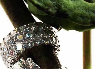 Diamond Rings : Forevermark