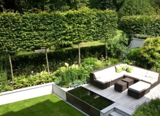 Diamond Rings : Landform Consultants – St Margarets Contemporary Garden design…