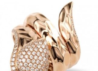 Diamond Rings : Triumph…