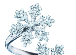 Diamond Rings : White gold with diamond snowflakes ring….