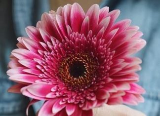 Engagement Rings & Wedding Rings : 18K White Gold Alvadora Diamond Ring