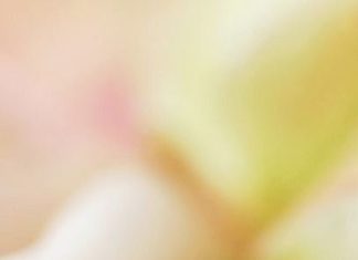 Engagement Rings & Wedding Rings : 18K White Gold Sapphire Three Stone Round Diamond Pavé Trellis Ring