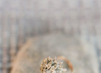 Engagement Rings & Wedding Rings : ….