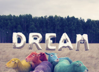 Fashion : fashiondailymag:
multicolored sheep! “Dream” series in australia…