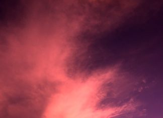 Fashion : I made it pink.