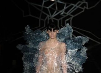 Fashion : Iris van Herpen Spring 2017 Couture