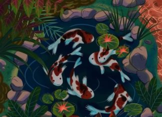 Fashion : jessiedrawz:Koi fish pond.