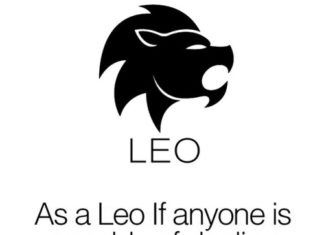 Fashion : LEO LOVE :)