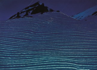 Fashion : Thomas Flechtner, Chili Rinderhorn (Walks #8), 1999 VIA ARTSY:…